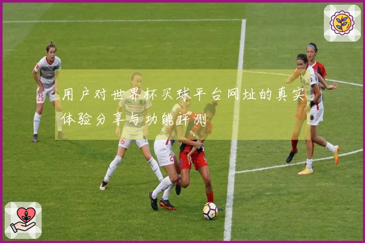 用户对世界杯买球平台网址的真实体验分享与功能评测