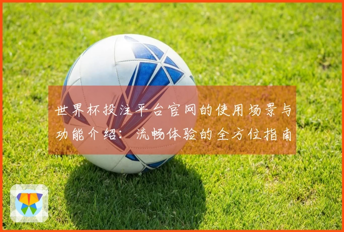 世界杯投注平台官网的使用场景与功能介绍：流畅体验的全方位指南