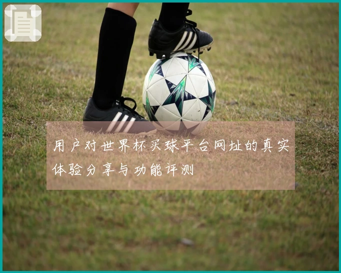 用户对世界杯买球平台网址的真实体验分享与功能评测